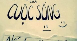 quy-luat-don-gian-cua-cuoc-song